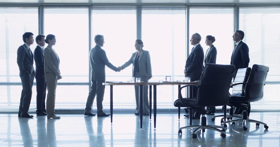Business professionals shake hands to formalise a deal